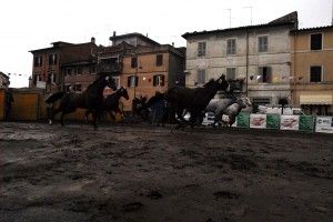 corsa dei barberi